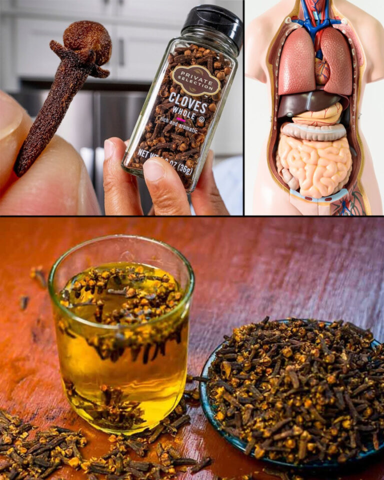 Acqua di chiodi di garofano: il potere nascosto nella tua cucina