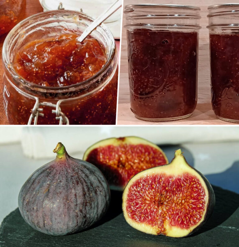 Come preparare una gustosa marmellata di fichi senza zucchero