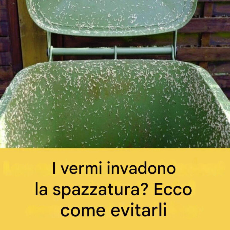 4 consigli efficaci per eliminare i vermi dal bidone della spazzatura esterno