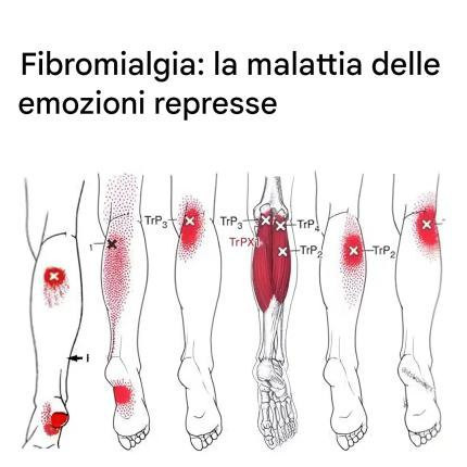 Se sei costantemente stanco, senti dolori in tutto il corpo e nessuno sa spiegarti chiaramente il perché… potresti stare attraversando questo momento.