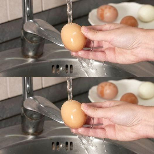 Uova e Igiene: Perché Lavare Non è Sempre la Soluzione Giusta