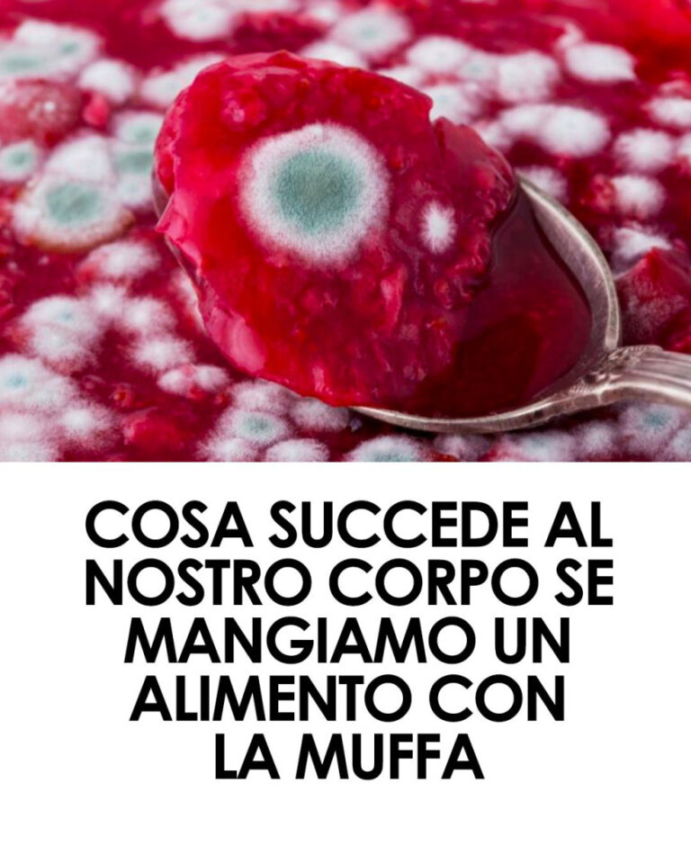 🧫 Cosa sono le muffe e perché si formano