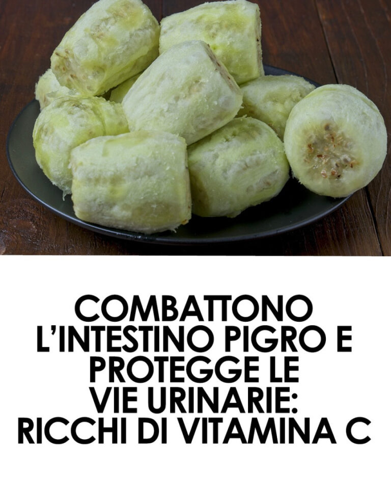 Fichi d’india, quel frutto venuto da lontano ormai simbolo del Mediterraneo