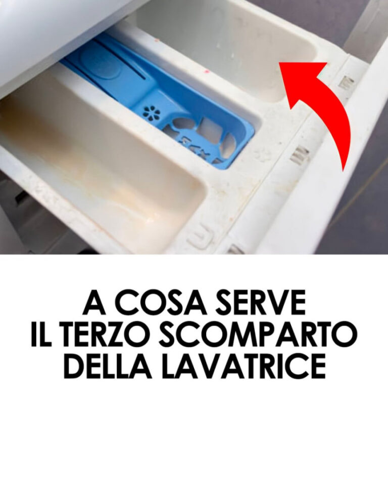 I tre scomparti della lavatrice: cosa contengono
