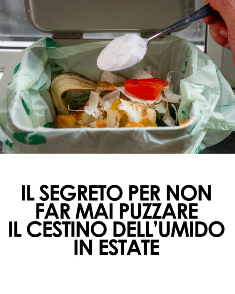 5 consigli per gestire l’umido in estate