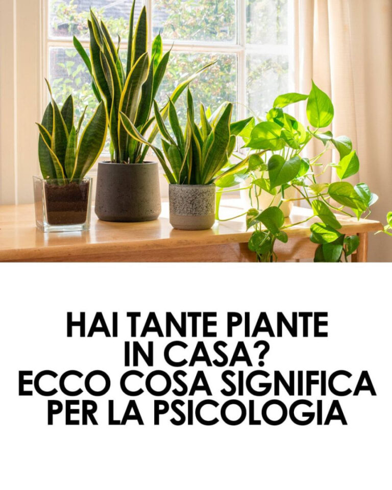 Cosa rivela avere molte piante in casa secondo la psicologia