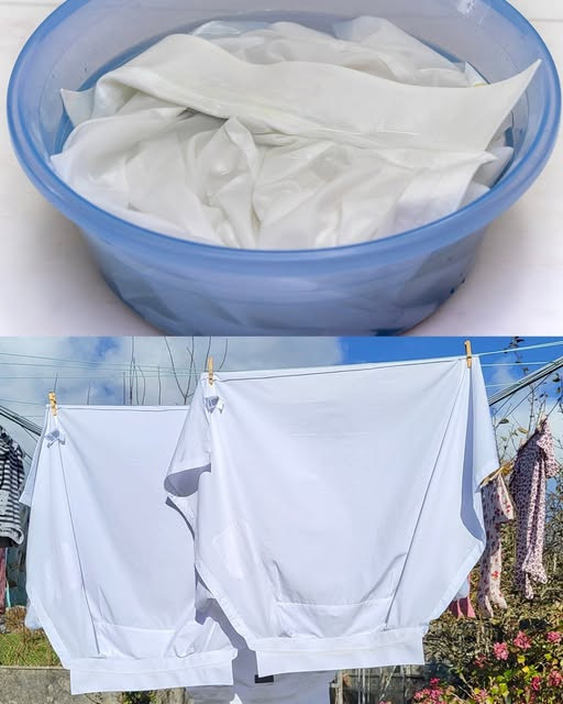 Come smacchiare i colletti ingialliti delle camicie con soli ingredienti naturali