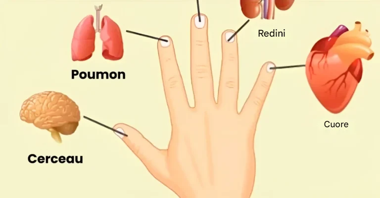 In 5 minuti scopri la tecnica di autoguarigione giapponese basata sul collegamento tra ogni dito e due organi
