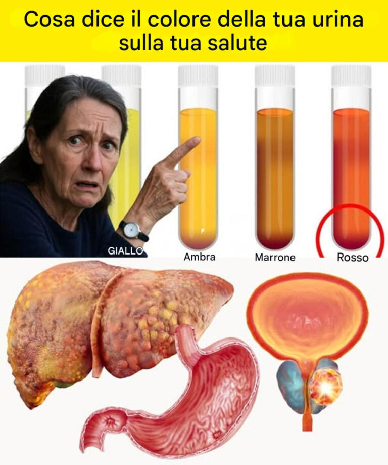 Cosa dice davvero il colore della tua urina sulla tua salute (è più interessante di quanto pensi)