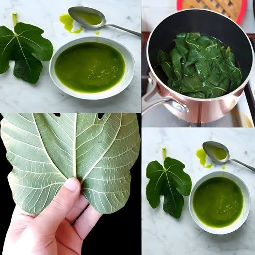 I benefici delle foglie di fico e tutti i modi per utilizzarle