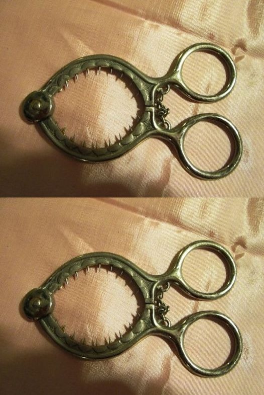 Come usare questo strano strumento nella tua cucina