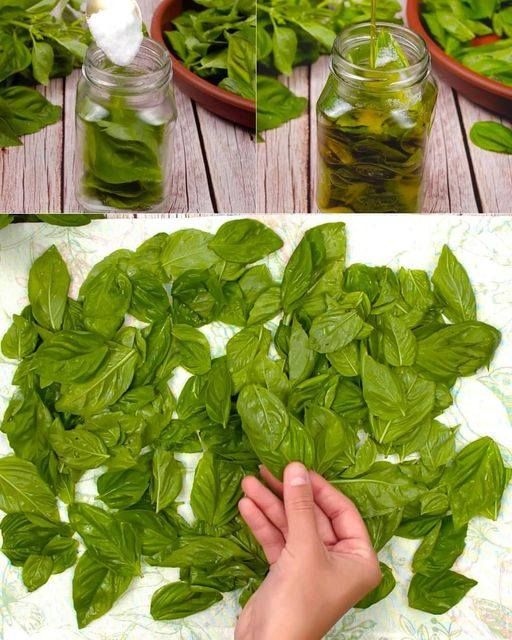 Come coltivare un mandorlo dai semi a casa