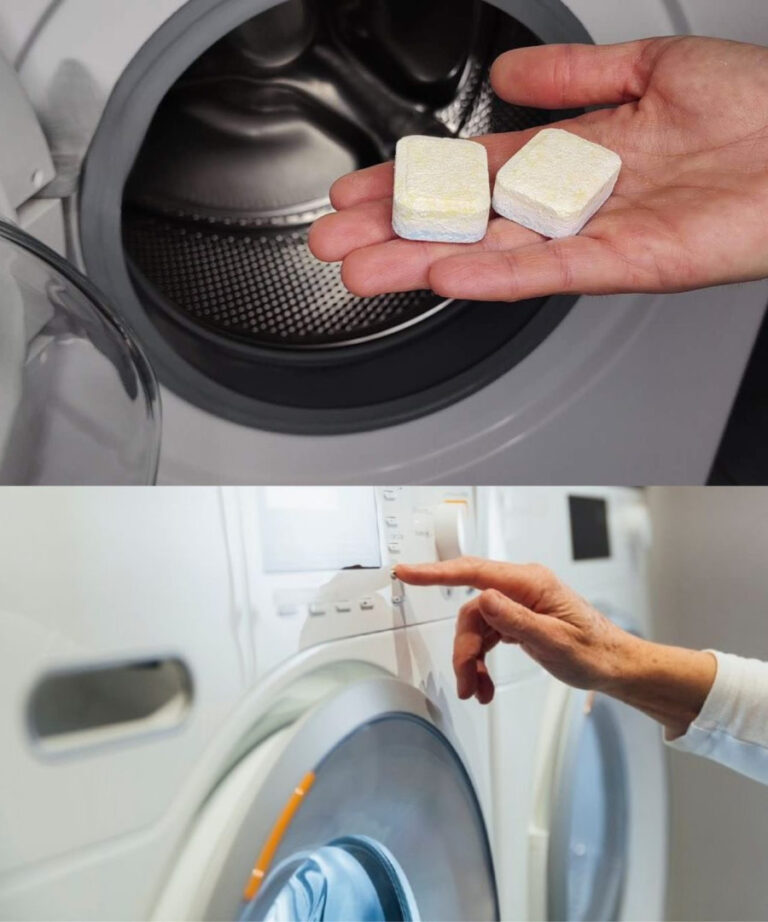 SE FAI QUESTO TUTTO LO SPORCO USCIRÀ DALLA LAVATRICE: ADDIO AI CATTIVI ODORI DEL BUCATO