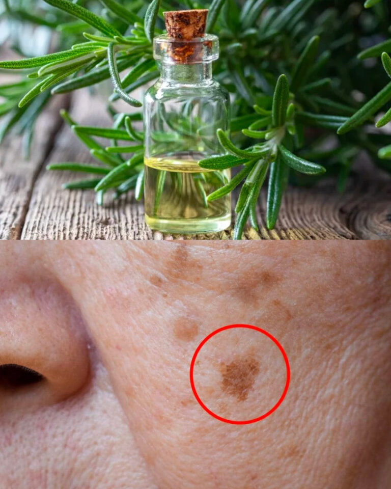 Tonico al Rosmarino per Rughe e Macchie