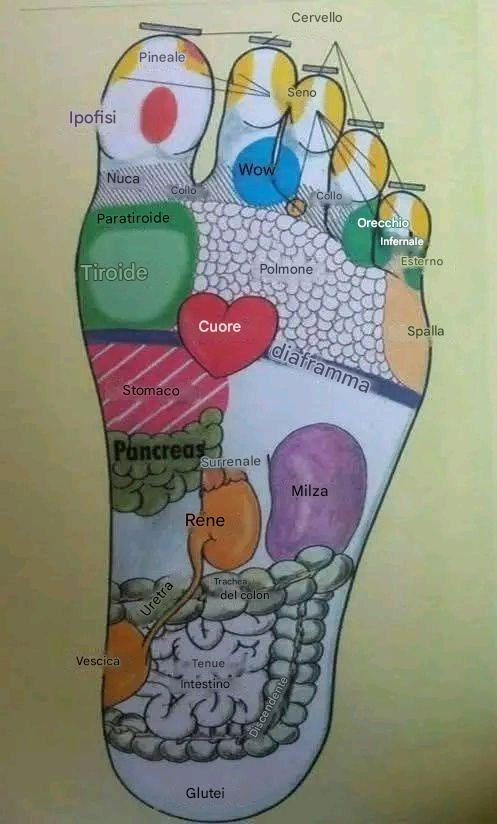 Mettere l’olio sulla pianta dei piedi: una pratica antica con benefici reali? In un mondo di gadget per la salute high-tech e rimedi ad azione rapida, un semplice rituale ha superato la prova del tempo:
