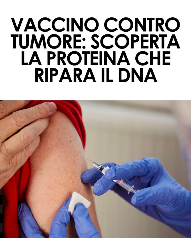 Scoperta la Proteina DdrC: Una Svolta nella Prevenzione del Cancro
