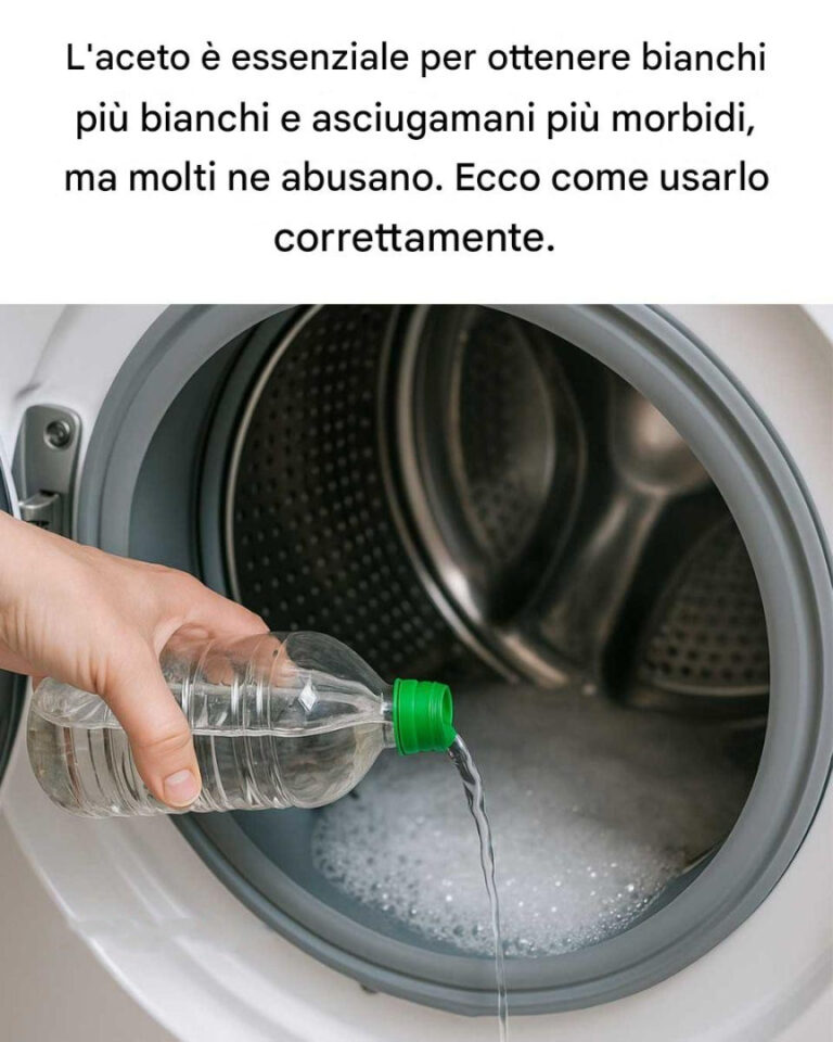 L’aceto è essenziale per bianchi più brillanti e asciugamani più morbidi, ma molti lo usano nel modo sbagliato. Ecco come usarlo correttamente.