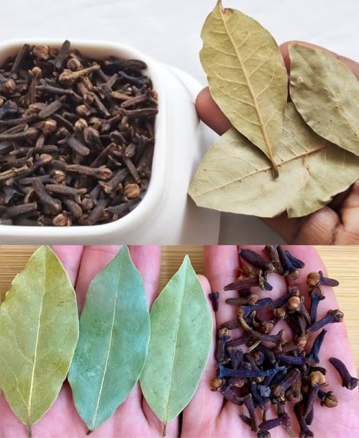 Chiodi di garofano e alloro: una combinazione naturale dalle proprietà sorprendenti
