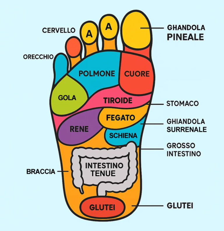 perché massaggiare i piedi prima di dormire può migliorarti la vita: septembre 15, 2025 par admin ✅ 1. Migliora la circolazione sanguigna Il massaggio stimola i vasi sanguigni, favorendo un miglior apporto di ossigeno e nutrienti a tutto il corpo, compresi organi vitali e muscoli.  ✅ 2. Favorisce un sonno più profondo e rigenerante Il rilassamento muscolare e nervoso che segue il massaggio induce uno stato di calma. Questo è particolarmente utile per chi soffre di insonnia o sonno disturbato.  ✅ 3. Stimola il metabolismo e la disintossicazione Il massaggio attiva i processi metabolici, aiuta a eliminare le tossine e migliora l’assorbimento dei nutrienti. Questo contribuisce anche alla salute della pelle e del sistema linfatico.  ✅ 4. Previene crampi e dolori muscolari Il movimento stimola la rimozione dei sedimenti acidi (come l’acido lattico) accumulati nei muscoli e previene la rigidità o i crampi notturni, soprattutto dopo una giornata intensa o passata in piedi.  ✅ 5. Agisce su organi interni (riflessologia) Secondo la riflessologia, ogni zona del piede è collegata a un organo (come cuore, fegato, reni, polmoni). Massaggiare le aree giuste può stimolare il corretto funzionamento di questi organi.  ✅ 6. Rende la pelle più tonica ed elastica Grazie alla stimolazione delle ghiandole sebacee e alla riattivazione della circolazione, la pelle risulta più nutrita, morbida e luminosa.  ✅ 7. Momento di cura personale e benessere mentale Prendersi 10-15 minuti ogni sera per massaggiarsi i piedi può diventare un rituale di auto-cura, aiutando a rallentare i pensieri, ridurre lo stress e coltivare la connessione corpo-mente.  🕒 Come farlo: Trova un posto comodo, seduto o sdraiato.  Usa una crema, olio naturale o olio essenziale rilassante (es. lavanda).  Inizia con movimenti circolari, premi dolcemente su talloni, pianta e dita.  Dedica almeno 10-15 minuti, preferibilmente prima di dormire.  Concentrati sulle zone in base alle necessità (può aiutarti una mappa riflessologica del piede).  🔁 Rendere l’abitudine quotidiana Farne un rituale serale costante può avere un impatto duraturo su energia, salute e qualità del sonno.