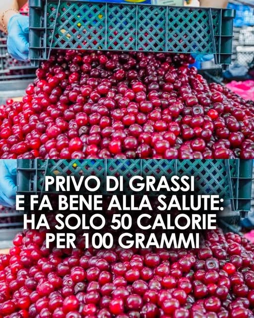 Ciliegie: scopri le proprietà e i benefici per la tua salute