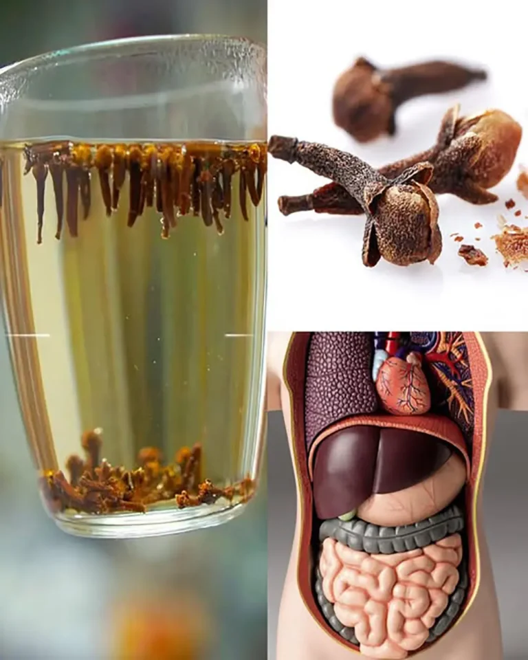 Eau de clous de girofle : des bienfaits insoupçonnés