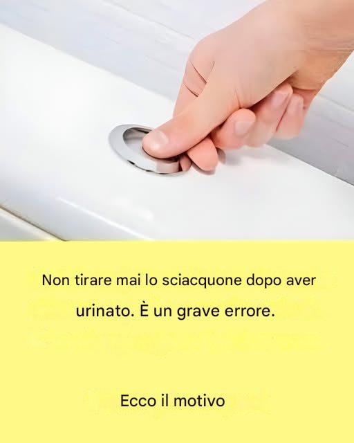 Perché non tiro più lo sciacquone ogni volta (e dovresti pensarci)