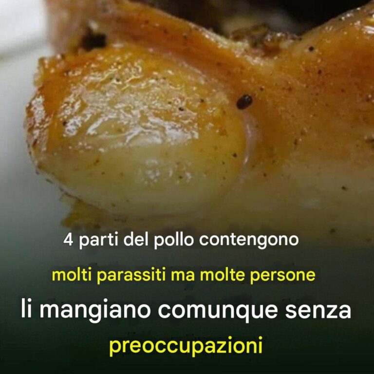 4 parti del pollo contengono molti pa.ra.si.ti, ma molte persone continuano a mangiarli senza preoccuparsene!