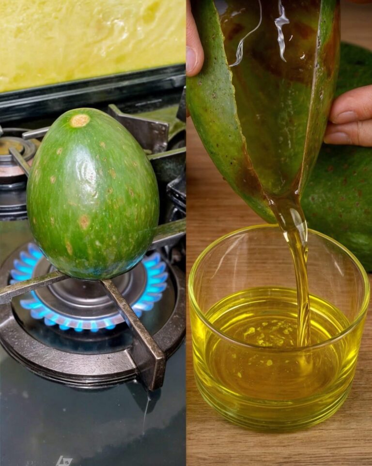 Come preparare l’olio di avocado fatto in casa in modo semplice
