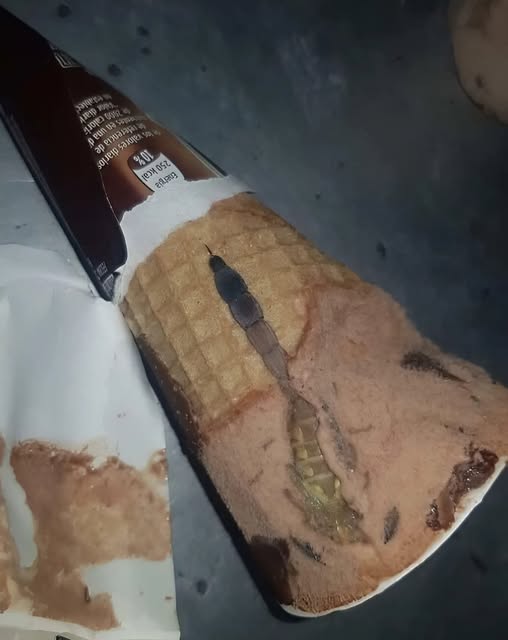 Oggi mia figlia ha aperto il suo gelato al cioccolato preferito, quello che mangia quasi tutti i giorni dopo la scuola.