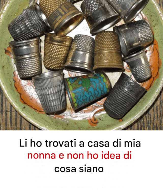 Li ho trovati a casa di mia nonna e non ho idea di cosa siano