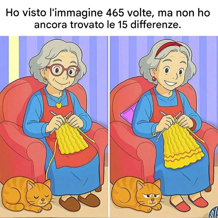 Riesci a individuare le 15 differenze tra queste immagini?