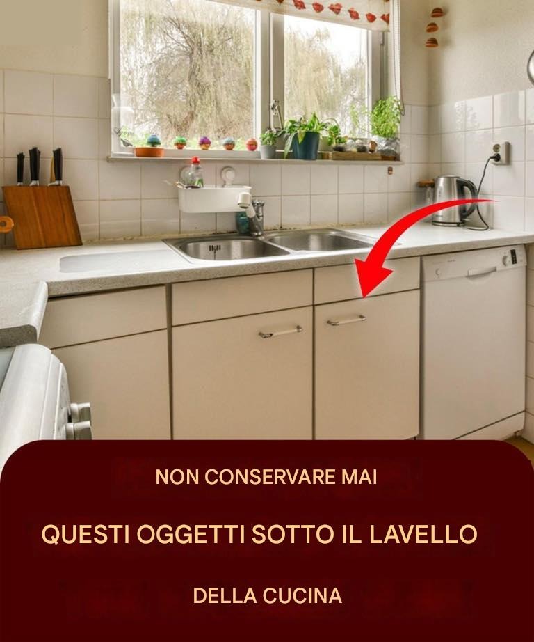 5 cose che non dovresti mai mettere sotto il lavello della cucina