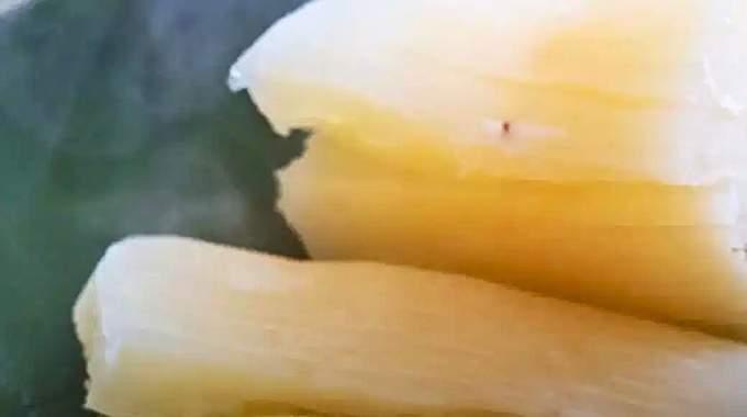 Il cibo più letale al mondo uccide oltre 200 persone all'anno, eppure milioni di persone continuano a mangiarlo.