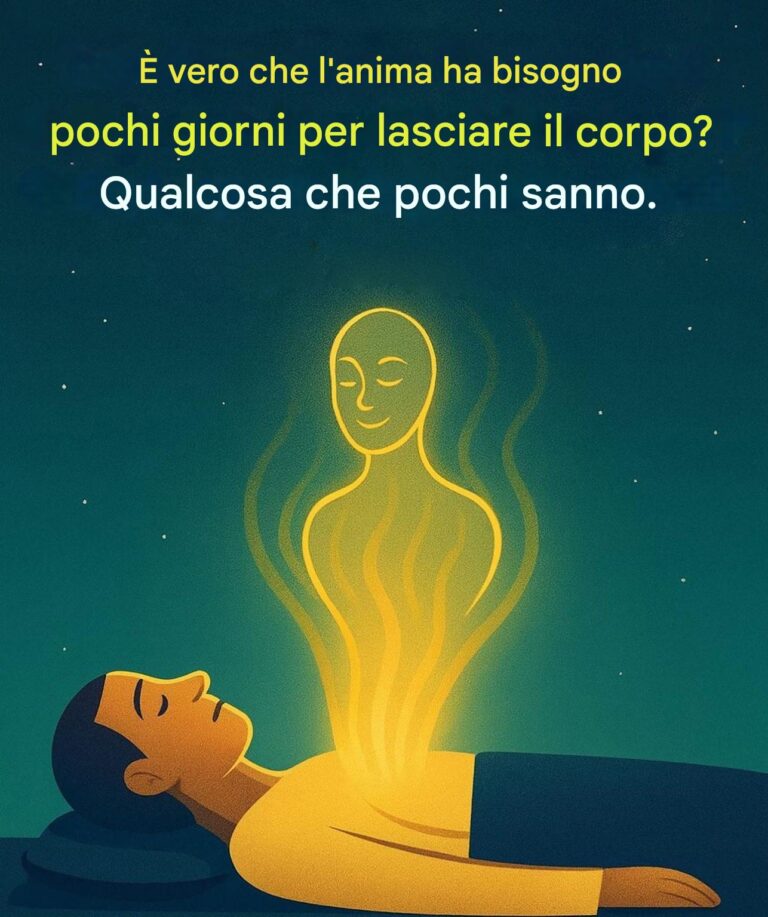 Cosa dice la scienza sulla coscienza dopo la morte…