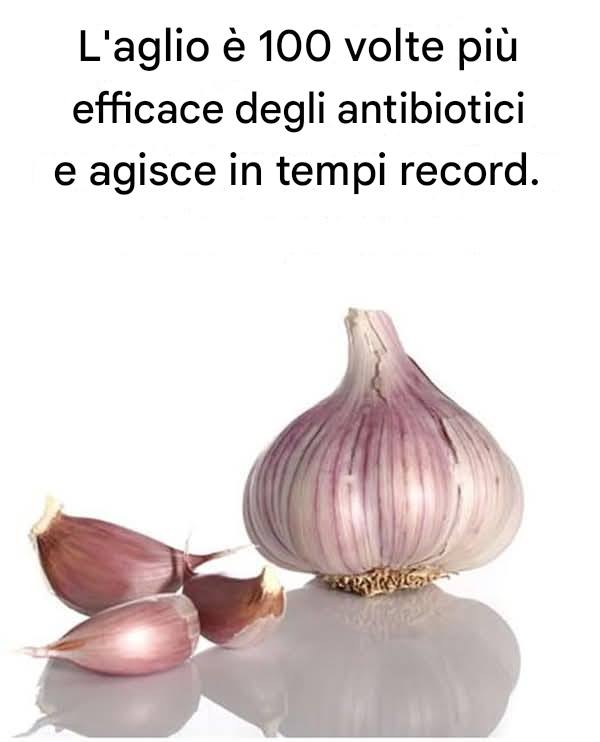L’aglio è 100 volte più efficace degli antibiotici e agisce in tempi record