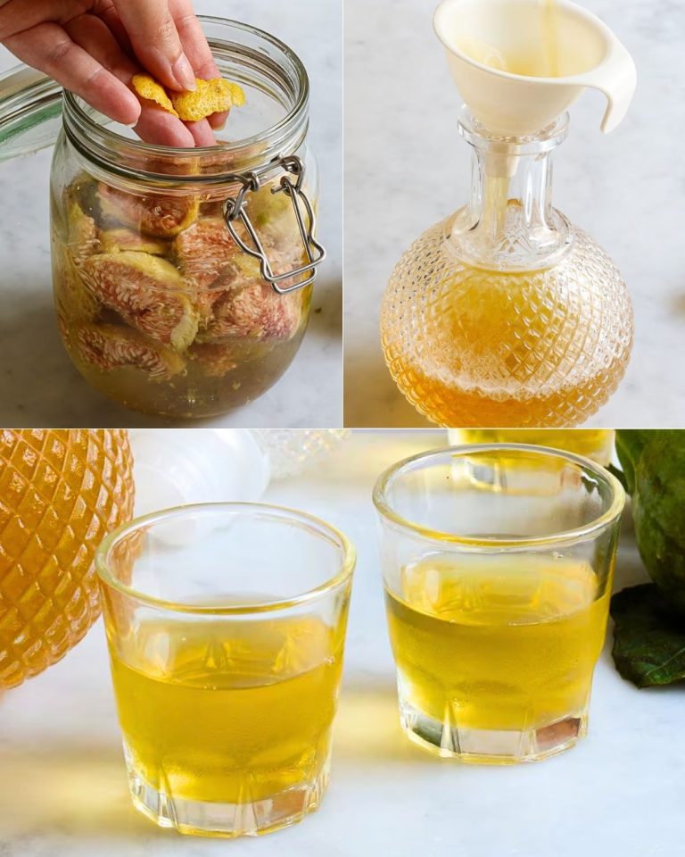 "Liquore di fichi fatto in casa: Ficolino e Ficoncello – Una ricetta per una bevanda unica"
