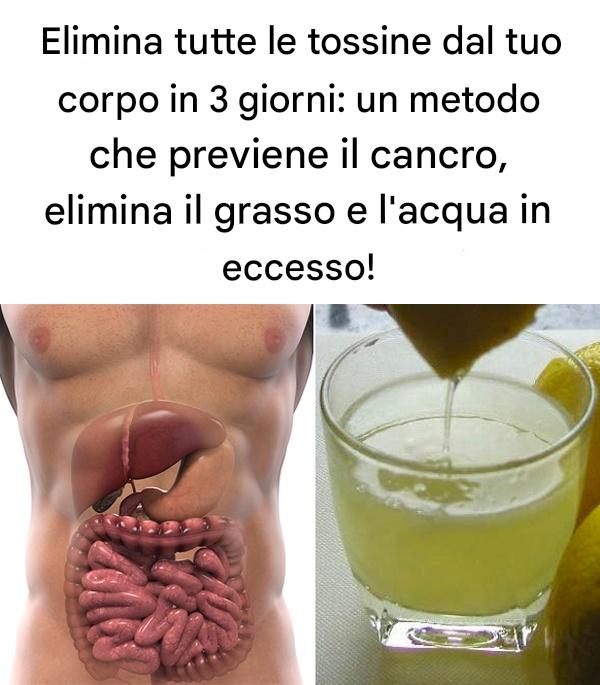 Elimina tutte le tossine dal tuo corpo in 3 giorni: un metodo che previene il cancro, elimina il grasso e l’acqua in eccesso!