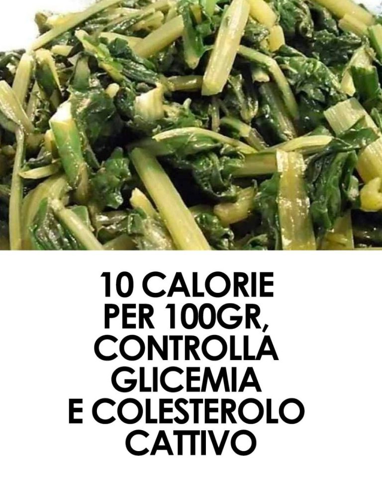 Catalogna: le proprietà, gli usi e le controindicazioni dell’ortaggio alleato del fegato e dell’intestino