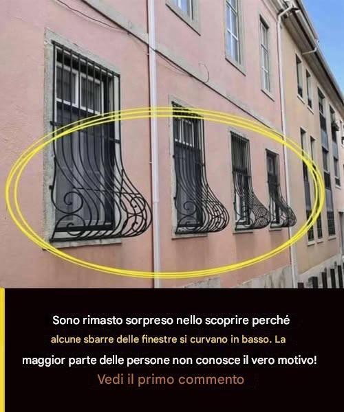 Griglie per finestre: l’aggiornamento trascurato che potrebbe proteggere la tua casa e anche abbellirla