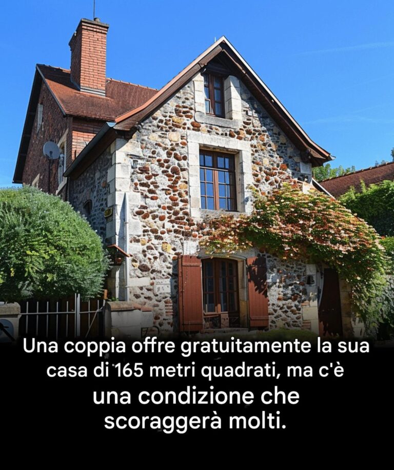 Una casa di 165 m² offerta gratuitamente? Sì, ma le condizioni potrebbero farti ripensare...