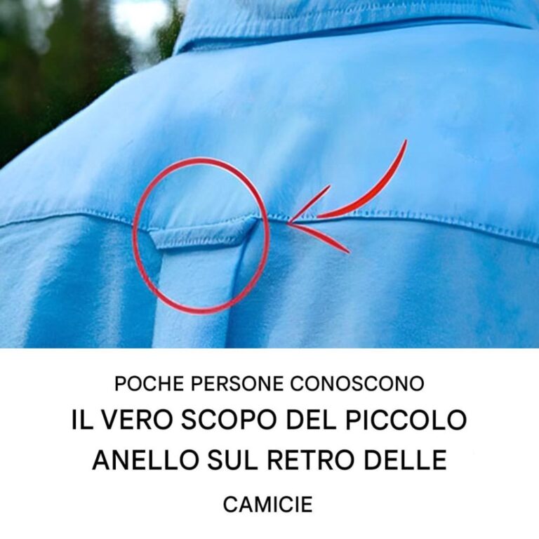 L'enigma dell'anello discreto sul colletto del tuo capo