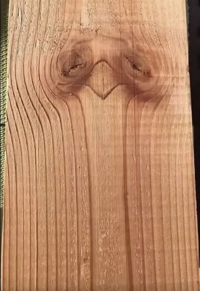 Ciò che i tuoi occhi notano per primo rivela molto di più su di te di quanto pensi...