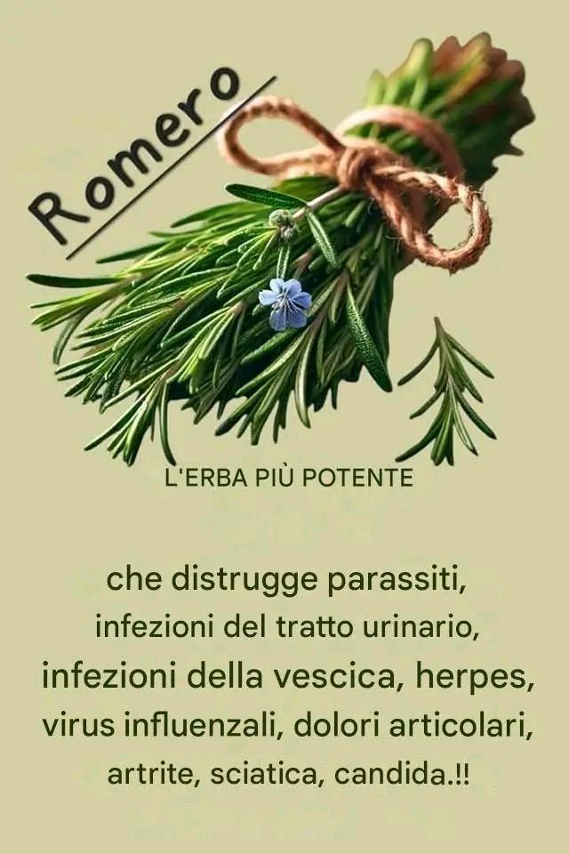 Dite addio alla cellulite