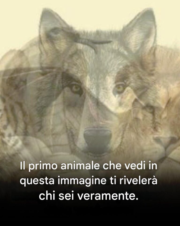 Il primo animale che vedi in questa immagine ti rivelerà chi sei.