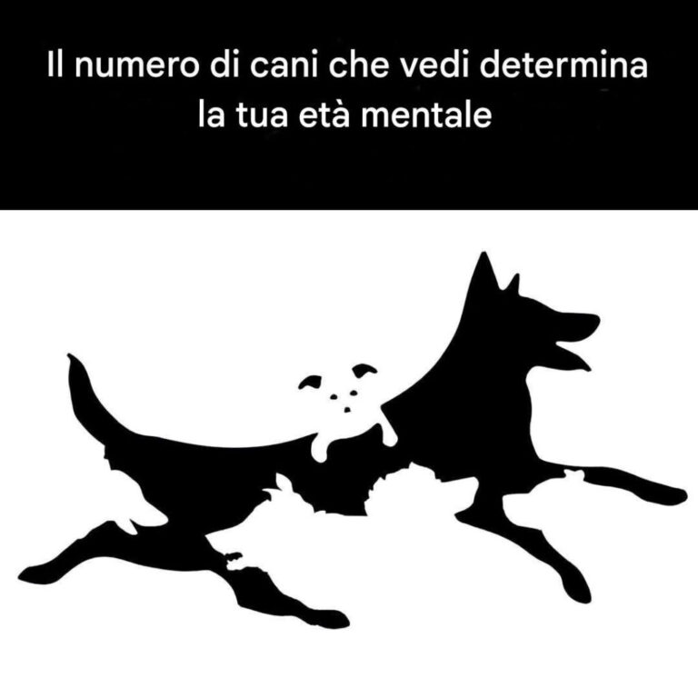 Il numero di cani che vedi in questa immagine determina la tua età mentale