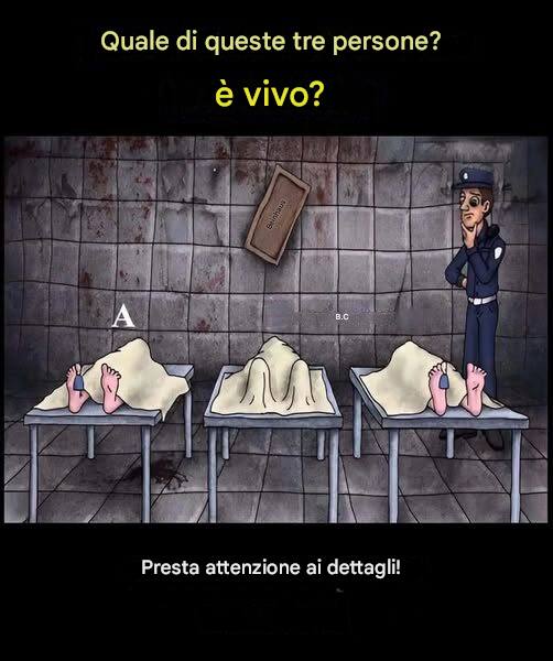 Puzzle visivo: riesci a indovinare chi è ancora vivo?