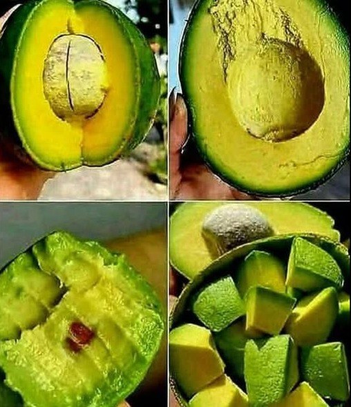 I medici affermano che mangiare avocado può causare…