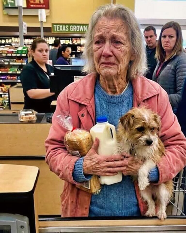 Ho pagato la spesa per una nonna che stava attraversando un periodo difficile. Tre giorni dopo, la cassiera le ha portato l'ultimo ordine!